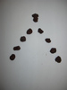 Scharfe Sache