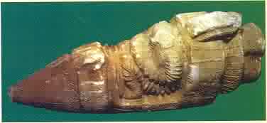 Dieser Fund aus Equador sieht wirklich aus ( und dazu braucht man wirklich nicht viel Phantasie ), wie eine kleine Rakete mit allem drum und dran ( Triebwerke, Cockpit, usw. )