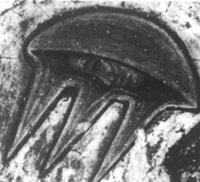 Vergr�sserter Bildausschnitt