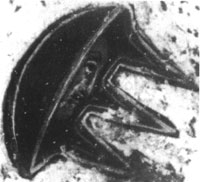 Vergr�sserter Bildausschnitt