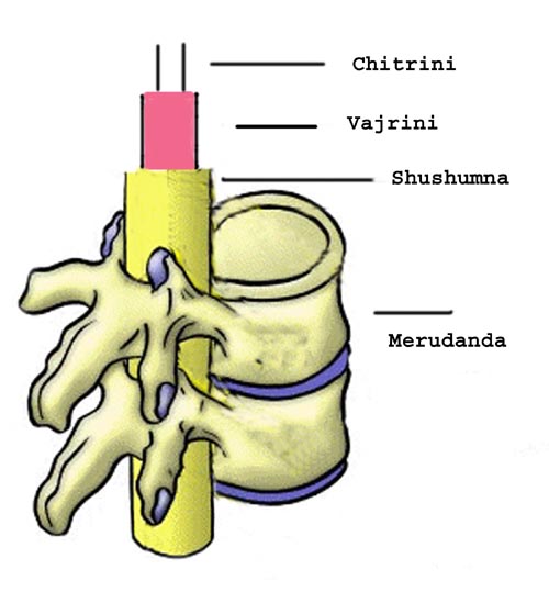 Kundalini in ihren Schichtungen
