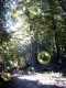 Natur 01