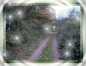 Natur 03