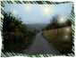 Natur 04